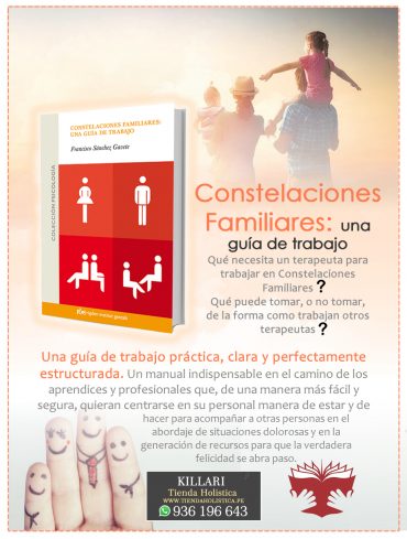 Constelaciones familiares: Una guía de... 