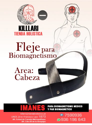 Flejes para Biomagnetismo Medico, Área... 